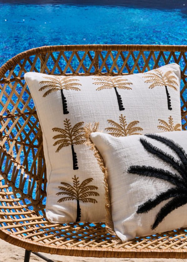 Black Cushion Palm