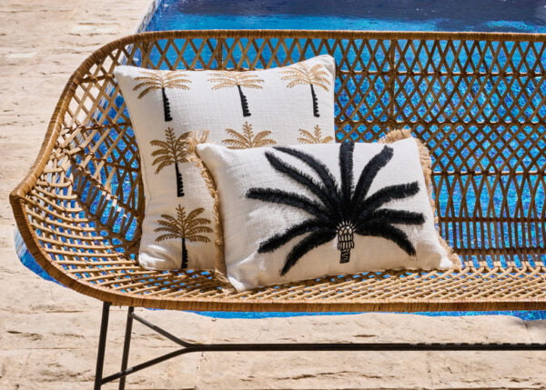 Black Cushion Palm