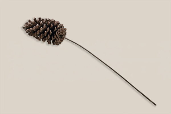 Pine Cone with Stem Large